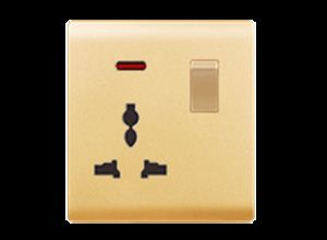 RB38A  1 gang switch+multi funtion socket